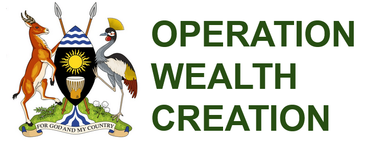 Operation Wealth Creation logo